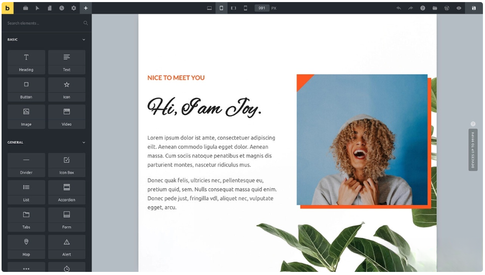 WordPress主题Bricks破解版v1.9-淘金源码